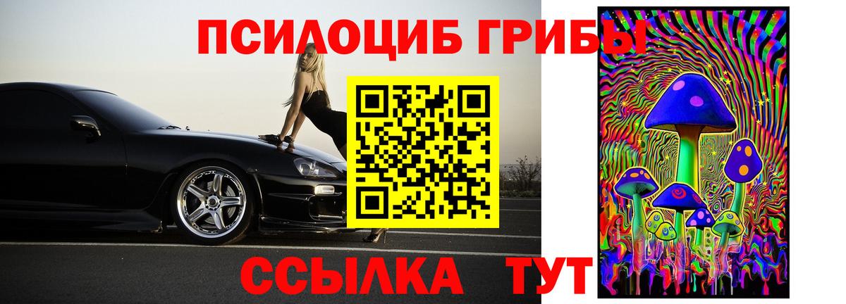A PVP СК кристаллы  Богданович  COCAIN  Цена  ГАШ  Лсд 25  Вход с VPN  Меф МЯУ МЯУ   МДМА  ТГК  Героин 